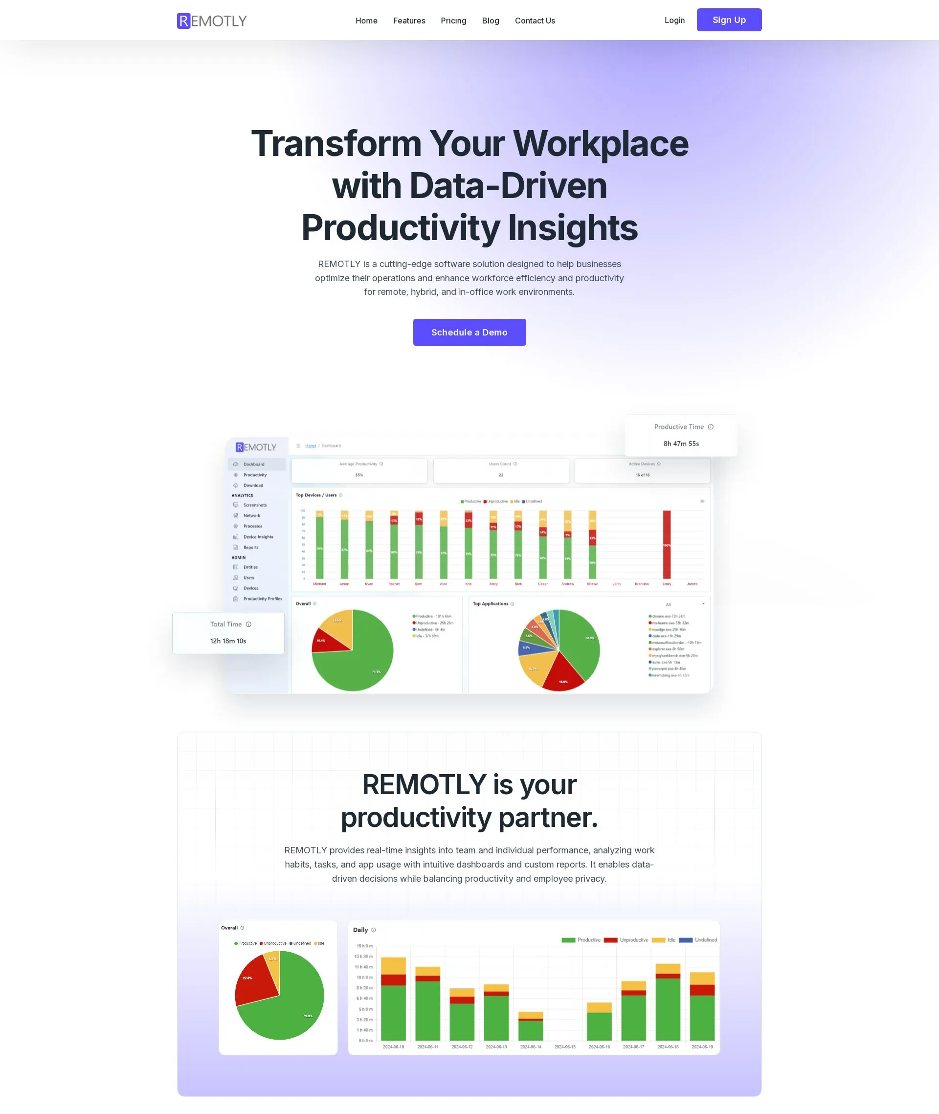 Remotly Productivity Insights Platform
