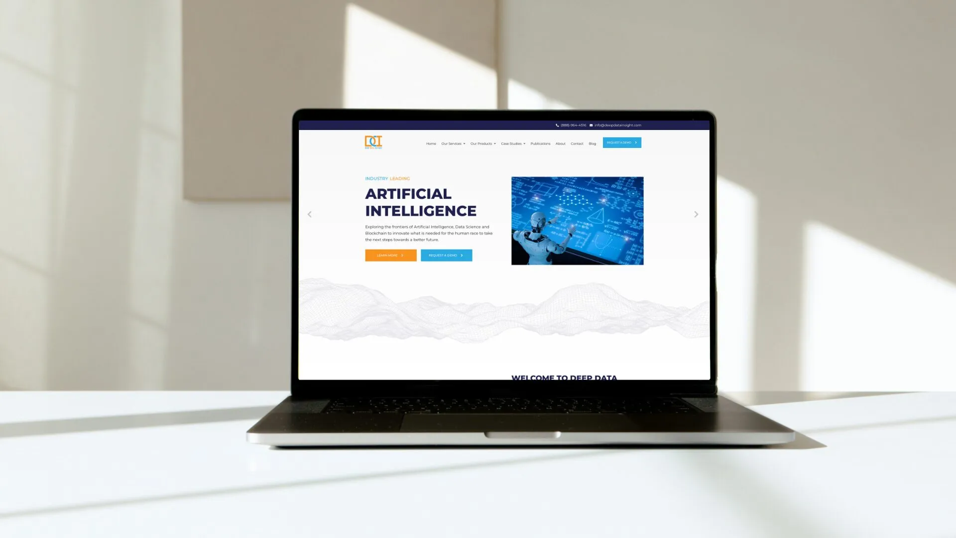 Portfolio Image